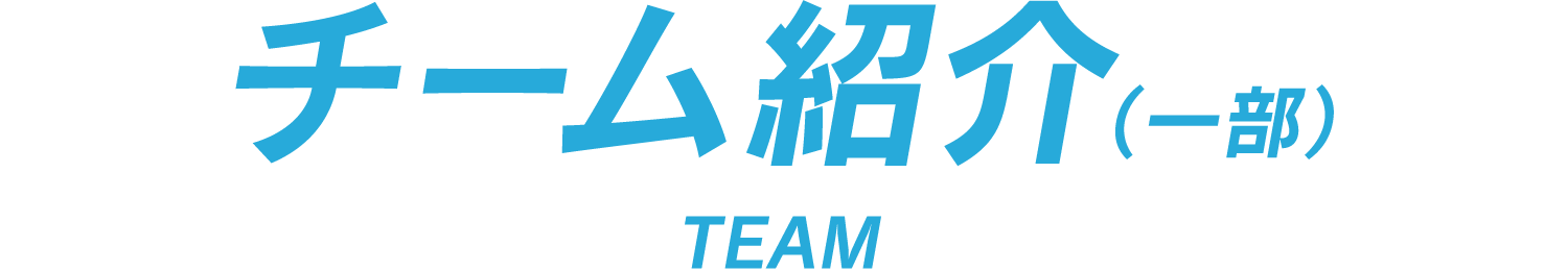 チーム紹介(一部) TEAM