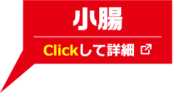 大腸 Clickして詳細