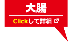 小腸 Clickして詳細