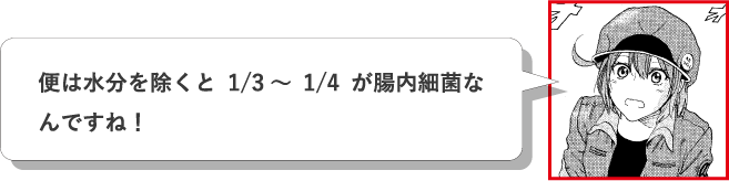 便は水分を除くと1/3～1/4が腸内細菌なんですね！