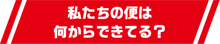 私たちの便は何からできてる？