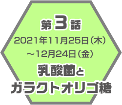 第3話 2021年11月25日（月）～12月24日（水） 乳酸菌とガラクトオリゴ糖