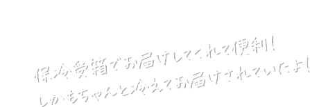 保冷受箱でお届けしてくれて便利！しかもちゃんと冷えてお届けされていたよ！